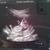  echo 25-6-2013