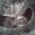 week12 