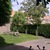 Buitenspeelterrein 