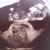 Ons Boeleke <3 eco aan 11w en 4dagen