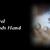 Parel in God's Hand 