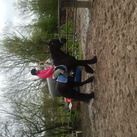  Onze lieve merrie