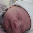 Roan Roan