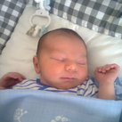 yunis 