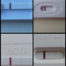 dpo 9, 10 &11 8, 9 & 10 maart 2015