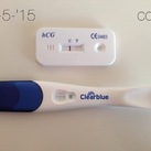 test 18-5 cd29 