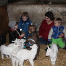  Dit is de vijfling die van het voorjaar op onze boerderij is geboren 