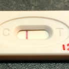 12 dpo 17.4