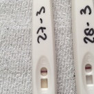 Tests 