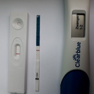 Zw test 11 dpo 