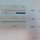Zw test 13 dpo 4 aug 