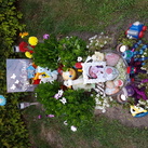 Elydjah Angel  Elydjah Angel 