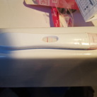 Positieve test? Hallo allemaal!

Vanmorgen getest, 4 dagen voor de NOD. Echter, ik meen 2 strepen te zien. Hoe positief moet een test zijn om er vanuit te gaan dat hij klopt ?


Alvast bedankt voor de reacties!

