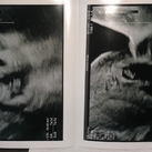 Twins! <3 