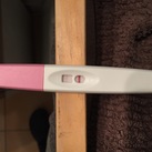  CD13