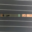 Dpo11 