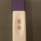 Ovu test dag 35 