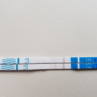 Ovulatiesten 2 eerste ovulatuetesren die ik heb gedaan
