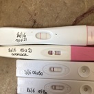 13 DPO!  