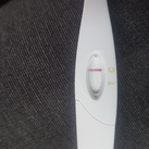 10 dpo 
