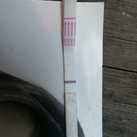 10dpo 