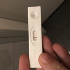 8 dagen na terugplaatsing  