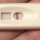 15 dagen na terugplaatsing  Helaas, het is niet goed afgelopen :( 