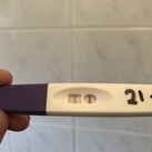 positieve ovulatietest ronde 2 