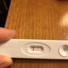11 dagen na terugplaatsing 11 dagen na terugplaatsing <3