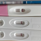 3/4 13dpo 1dag voor nod 
