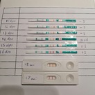 4w3d 