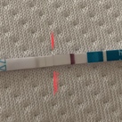2 augustus(2) 4 dagen voor nod