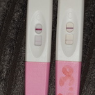 Zwangerschapstest 