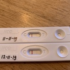 4+2 