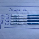 Ovulatie positief CD12 Mooie oploop van CD 9 tot 12. Op CD 12 positieve test 