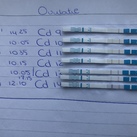 Oploop ovulatie test vanaf cd 9 
