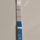 Ovulatietest 26-01-2020 14:30 