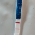 13DPO 
