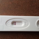 12 dpo 