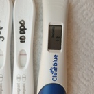 10dpo 