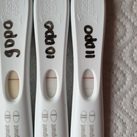 11dpo 