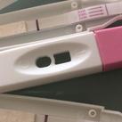 z test gedroogd 14-3-21 