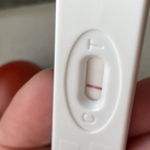 10 dpo 