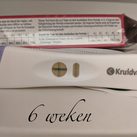 6 weken 