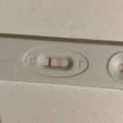 Test  Zwanger geweest?