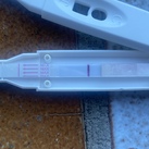 Cd28 