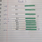 Cd 13 