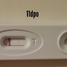 11dpo 
