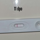 11dpo 