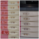 Testen ivf  